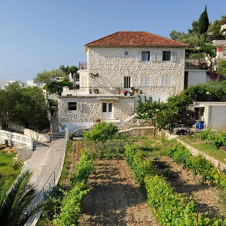 Olive Tree * 흐바르