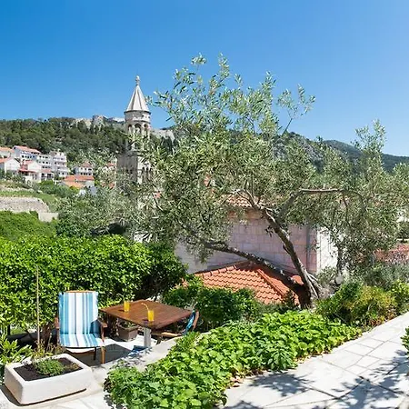 Apartment Olive Tree *